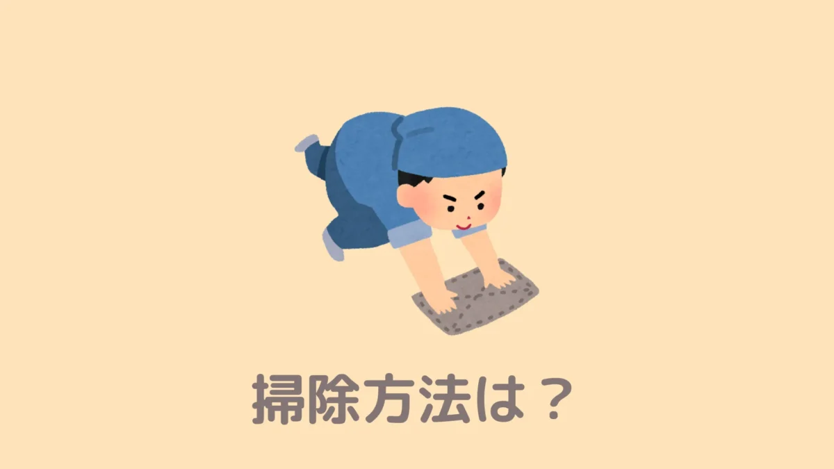 おうちDEサウナの掃除はどうやる？どのくらいの頻度でお手入れしたほうがいいのかも教えてください。